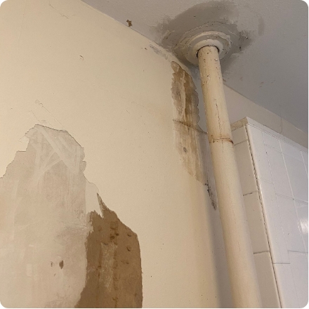 Gallery 1
